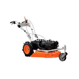 Desbrozadora de Ruedas SP 65 BS - Imagen 1